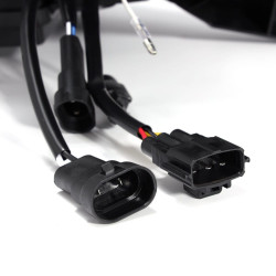 Buy Front headlights Toyota Sienna 2011-2020 LED LUXX Series Black Alpharex Ahl-TS11-PL-SA-B