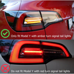 Buy Tesla Model y 2020-2022 LED PRO series carbon-black Alpharex ATL-TS317-W-LBS