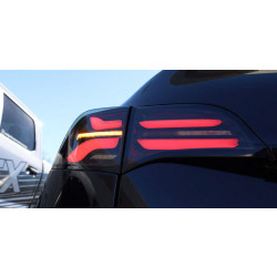 Buy Tesla Model y 2020-2022 LED PRO series carbon-black Alpharex ATL-TS317-W-LBS