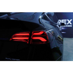 Buy Tesla Model y 2021-2022 LED PRO series carbon-black Alpharex ATL-TS317-G2-W-LBS