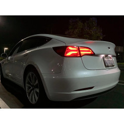 Buy Tesla Model y 2021-2022 LED PRO series carbon-black Alpharex ATL-TS317-G2-W-LBS