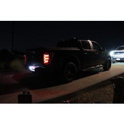Купить Задние фары Ford F150 2021+ LED LUXX серия цвет Alpha-Black AlphaRex RTL-FF21-SA-YS-LB