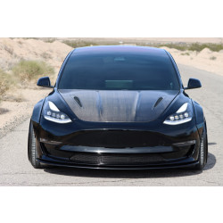 Купити Передні фари Tesla Model Y 2020 + LED NOVA серія колір Alpha-Black AlphaRex T3YAREXB880859.