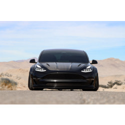 Купити Передні фари Tesla Model Y 2020 + LED NOVA серія колір Alpha-Black AlphaRex T3YAREXB880859.