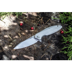 Купить Ніж складаний Ruike P128-SF