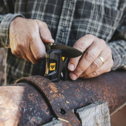 Купить Work Sharp Точилка механічна Pivot WSEDCPVT