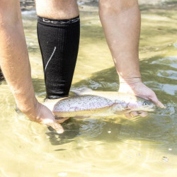 Купить Шкарпетки водонепроникні Dexshell Compression Mudder, р-р L, сірі