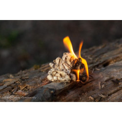 Купити Ніж Ganzo G8012 помаранчевий (G8012-OR)