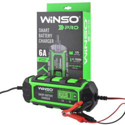 Buy WINSO PRO 12V battery charger