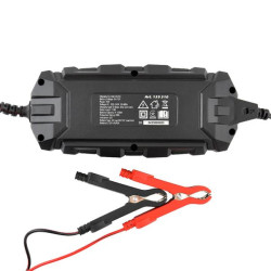 Buy WINSO PRO 6/12V battery charger