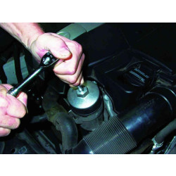 Buy Filter's Filter Filter 76 mm, 12 faces (Ford, Mazda) (Force 6317612) (Force 6317612)