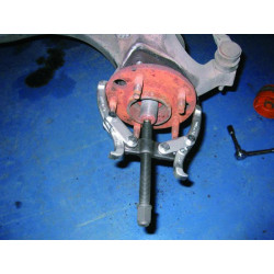 Buy 2-paw pads (80-300 mm) (Force 6590112)