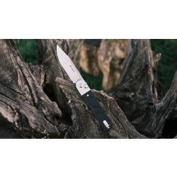 Купить Ніж складаний Ganzo G767-BK чорний