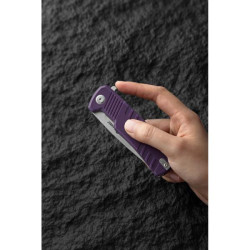 Buy Than a folding ganzo G769-PL