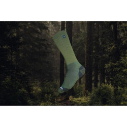 Купити Шкарпетки Dexshell Terrain Walking 2.0 Socks, хакі, розмір XL (47-49)
