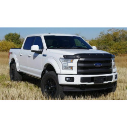 Купить Дефлектор капота для Ford F-150 от 2015 - ToughGuard TG8A15