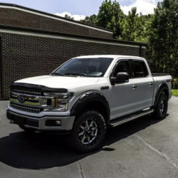 Buy Capital Deflector for Ford F150 dated 2015 Bugflector - AVS 25941