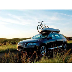 Buy Boxing Automobile Mont Blanc Triton 350 Silver