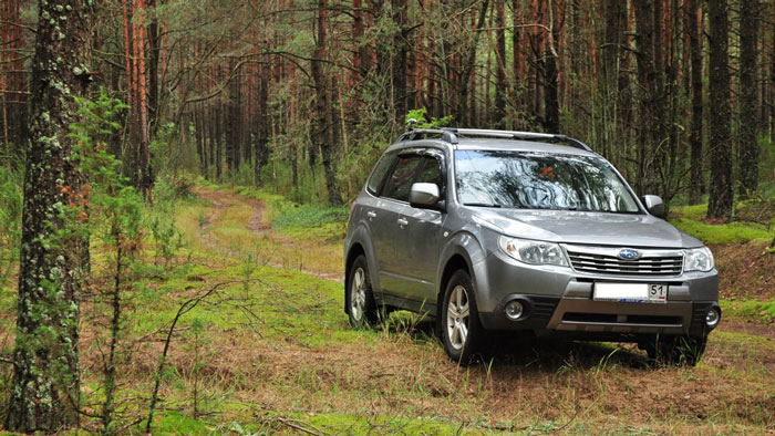 Купити запчастини на Subaru Forester (SH) в Україні