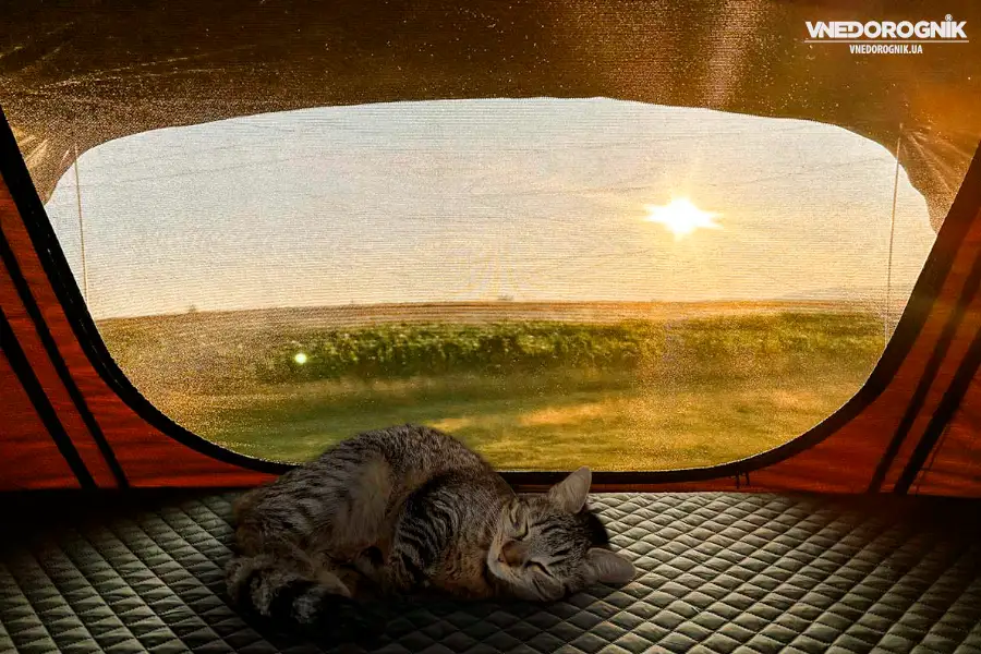 camping-pet-cat-1.webp Кіт спить в автонаметі